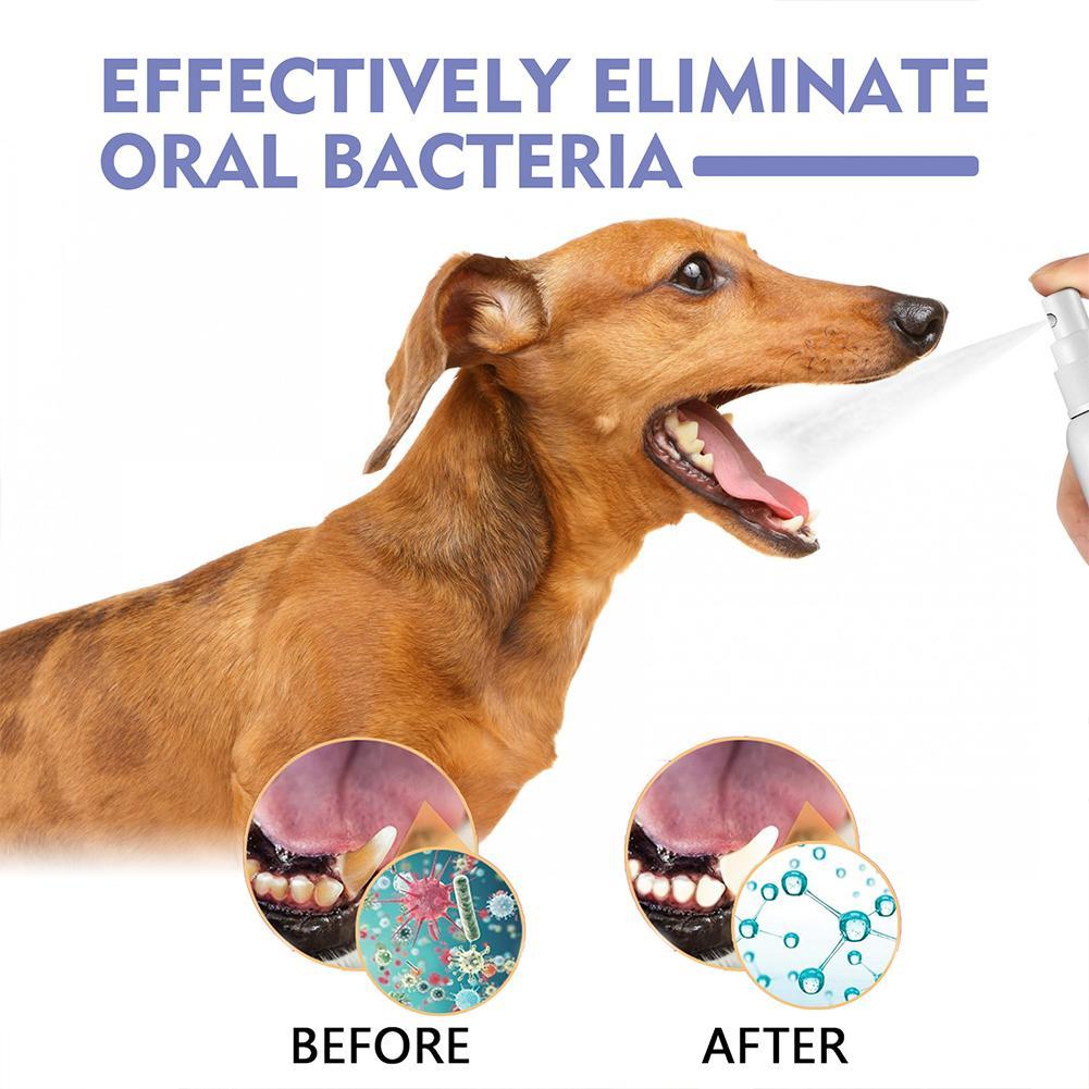 ペット用マウススプレー、口臭予防＆歯のクリーニングスプレー、 - Teeth Whitening Mouthwash のレビューと価格